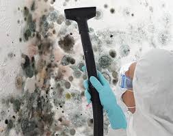 Best Industrial Mold Remediation  in Dulce, NM